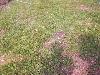 053.jpg size(800,600) 143846 Bytes 
