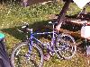 068.jpg size(800,600) 147891 Bytes 