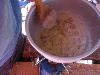 077.jpg size(800,600) 55126 Bytes 