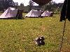 086.jpg size(800,600) 116105 Bytes 