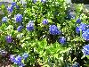 130.jpg size(800,599) 174822 Bytes 