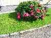 143.jpg size(800,599) 174170 Bytes 