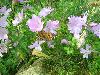 145.jpg size(800,599) 112168 Bytes 