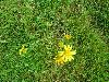 149.jpg size(800,599) 147650 Bytes 