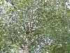 174.jpg size(800,599) 172525 Bytes 