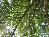 175.jpg size(800,599) 200770 Bytes 