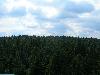 206.jpg size(800,600) 54024 Bytes 