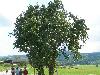 221.jpg size(800,600) 126025 Bytes 