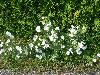 226.jpg size(800,600) 191776 Bytes 