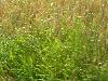 230.jpg size(800,600) 101047 Bytes 