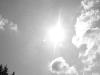 238.jpg size(800,600) 20372 Bytes 