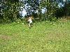 239.jpg size(800,600) 151606 Bytes 