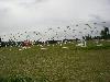 014.jpg size(800,600) 75906 Bytes 
