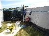 226.jpg size(800,600) 87406 Bytes 