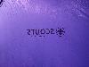 352.jpg size(800,600) 40958 Bytes 