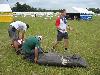 049.jpg size(800,600) 105868 Bytes 