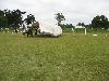 059.jpg size(800,600) 86620 Bytes 
