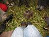 102.jpg size(800,600) 116972 Bytes 
