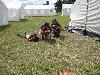178.jpg size(800,600) 130477 Bytes 