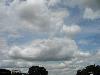 229.jpg size(800,600) 34059 Bytes 