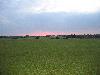 270.jpg size(800,600) 51499 Bytes 