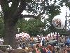 221.jpg size(800,600) 112464 Bytes 