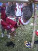 241.jpg size(600,800) 88808 Bytes 