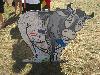 468.jpg size(800,600) 130561 Bytes 