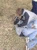 567.jpg size(600,800) 107977 Bytes 