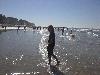 721.jpg size(800,600) 68674 Bytes 