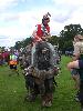 047.jpg size(600,800) 79047 Bytes 