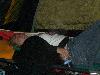 085.jpg size(800,600) 63444 Bytes 