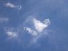 174.jpg size(800,600) 21251 Bytes 