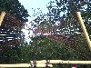193.jpg size(800,600) 148803 Bytes 