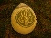 218.jpg size(800,600) 93565 Bytes 