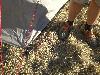 281.jpg size(800,600) 148004 Bytes 
