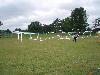 077.jpg size(800,600) 80378 Bytes 