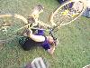 475.jpg size(800,600) 91672 Bytes 