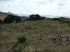 052.jpg size(800,600) 64131 Bytes 