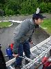 082.jpg size(600,800) 90170 Bytes 
