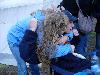 104.jpg size(800,600) 74259 Bytes 