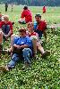 083.jpg size(536,800) 148297 Bytes 