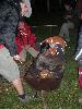 045.jpg size(600,800) 82386 Bytes 
