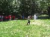 010.jpg size(800,600) 162595 Bytes 