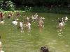 057.jpg size(800,600) 79074 Bytes 