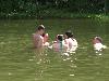064.jpg size(800,600) 67378 Bytes 