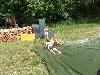 080.jpg size(800,600) 120243 Bytes 