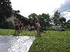 086.jpg size(800,600) 92606 Bytes 