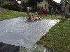 100.jpg size(800,600) 93240 Bytes 