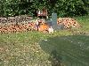 109.jpg size(800,600) 125828 Bytes 